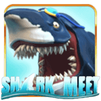 SharkMeet