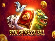 Book of Dragon Ball