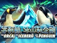 The Orca, the Iceberg and the Penguin